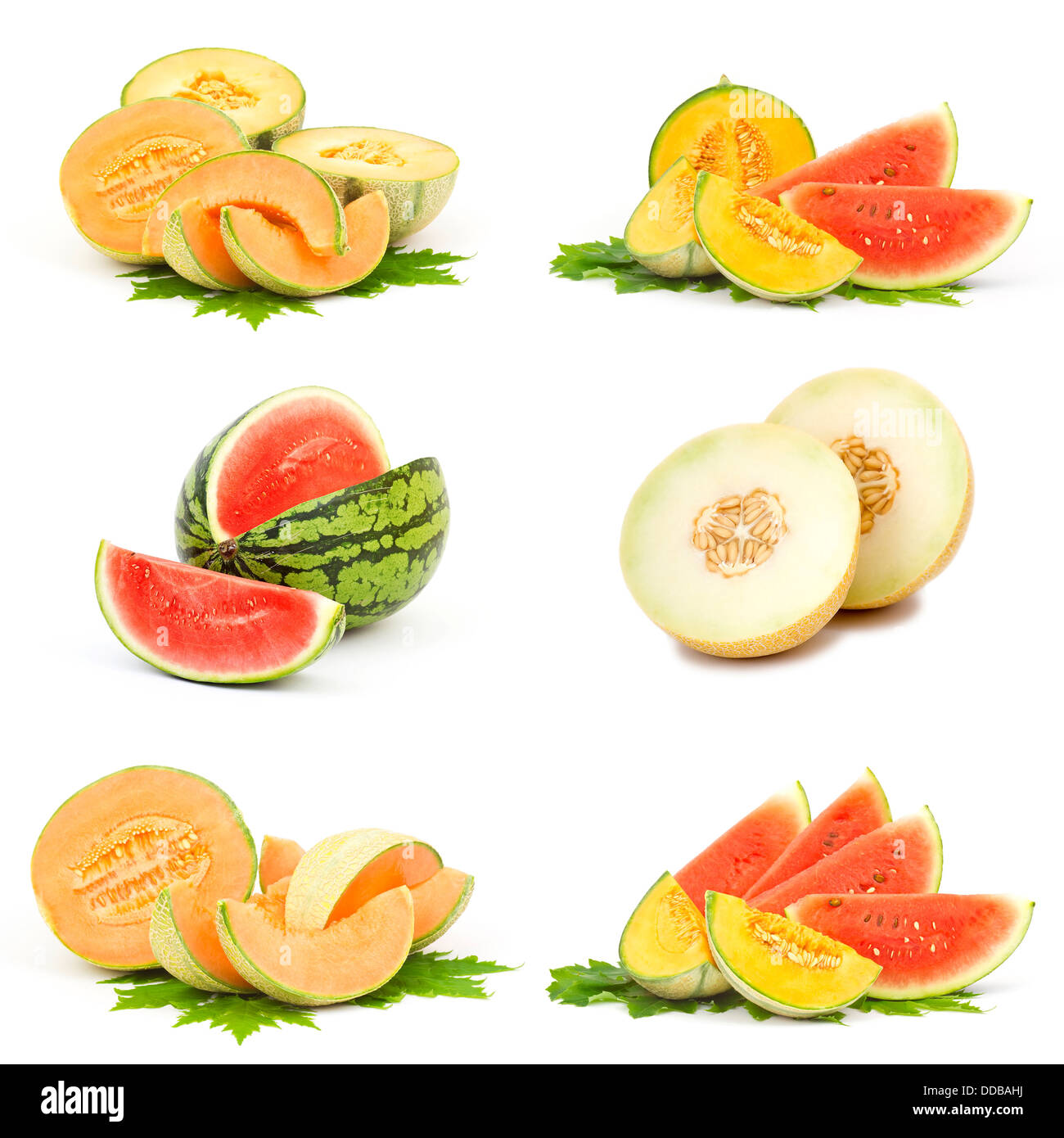 collection of fresh melon fruits Stock Photo Alamy