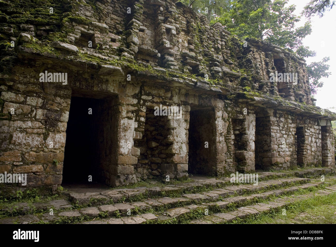 Mexico chiapas lacandon jungle north hi-res stock photography and ...
