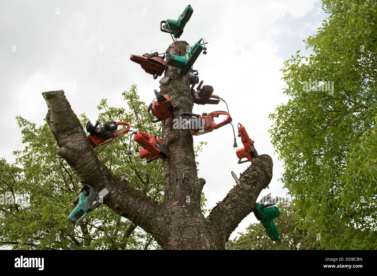 A display of old chainsaws in a tree Stock Photo