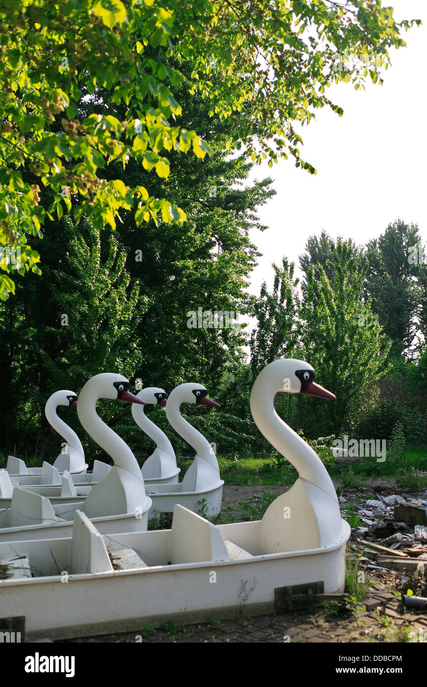Berlin, Germany, swans boats as a travel business Stock Photo