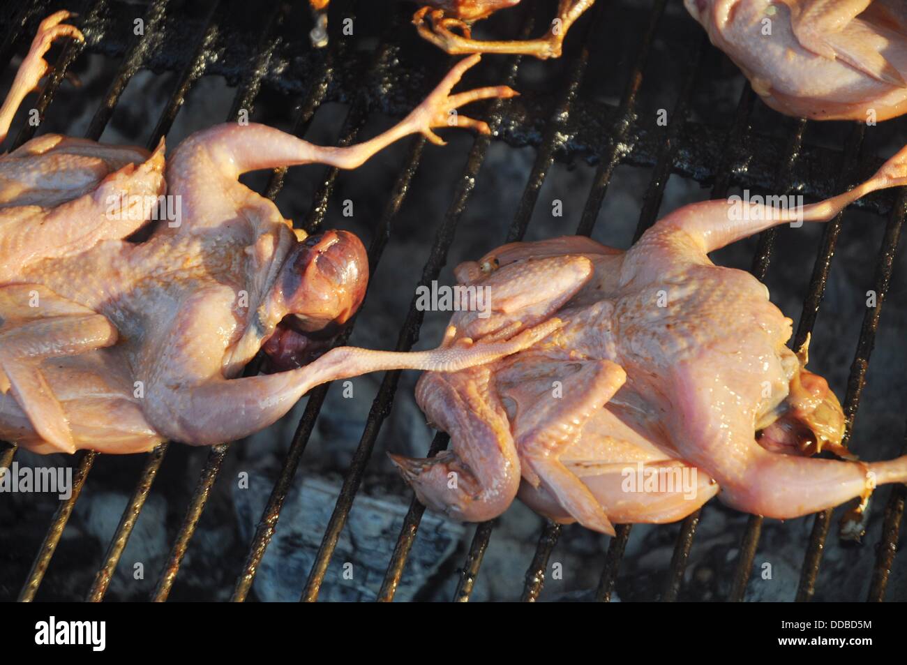 Phnom Penh (Cambodia) roasted chicken sold at the Old Market Stock