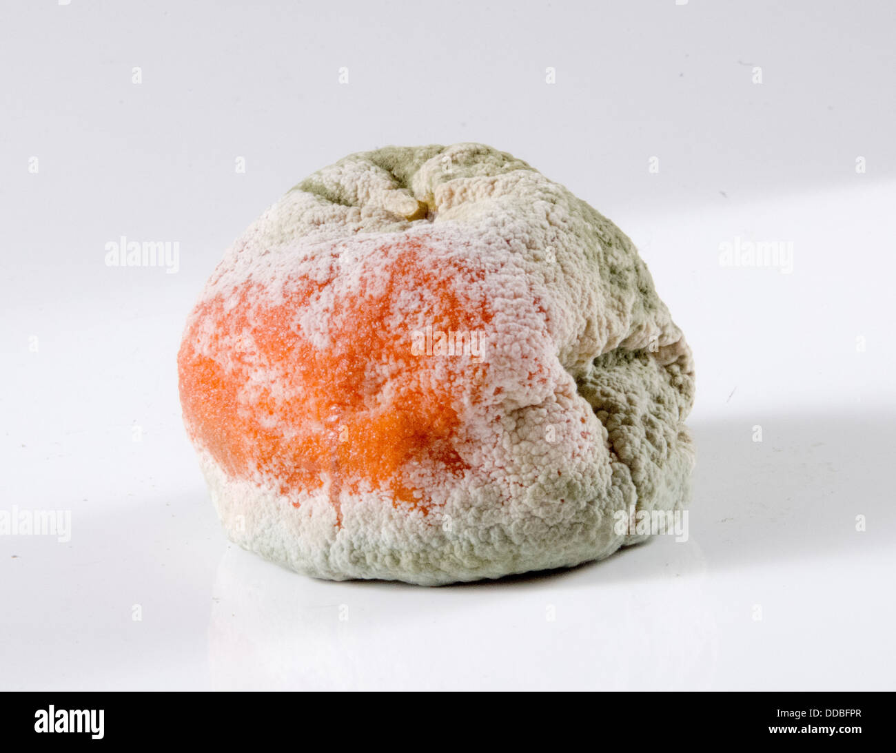 Moldy Fruit Hi-res Stock Photography And Images - Alamy