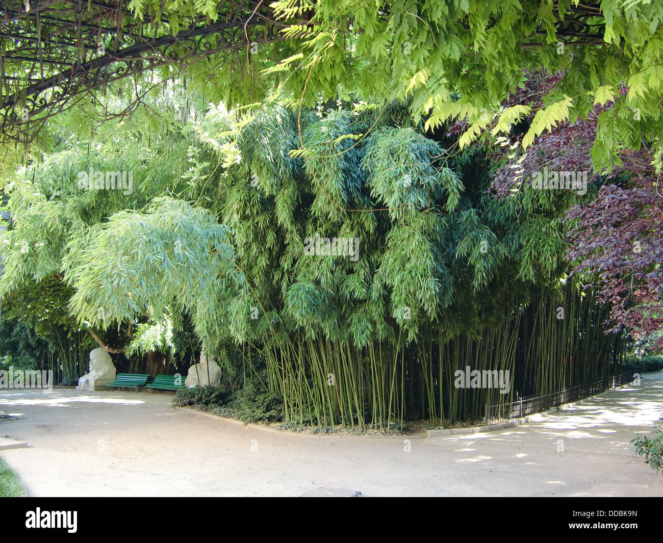 Nikitsky Botanical Garden (Crimea, Ukraine) Stock Photo