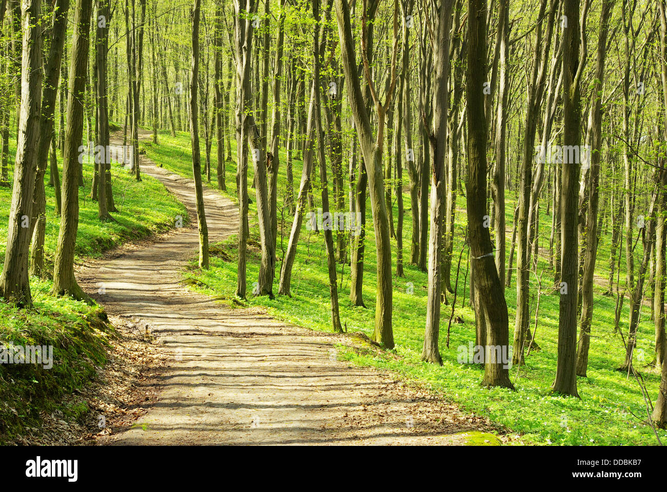 Divine nature hi-res stock photography and images - Alamy