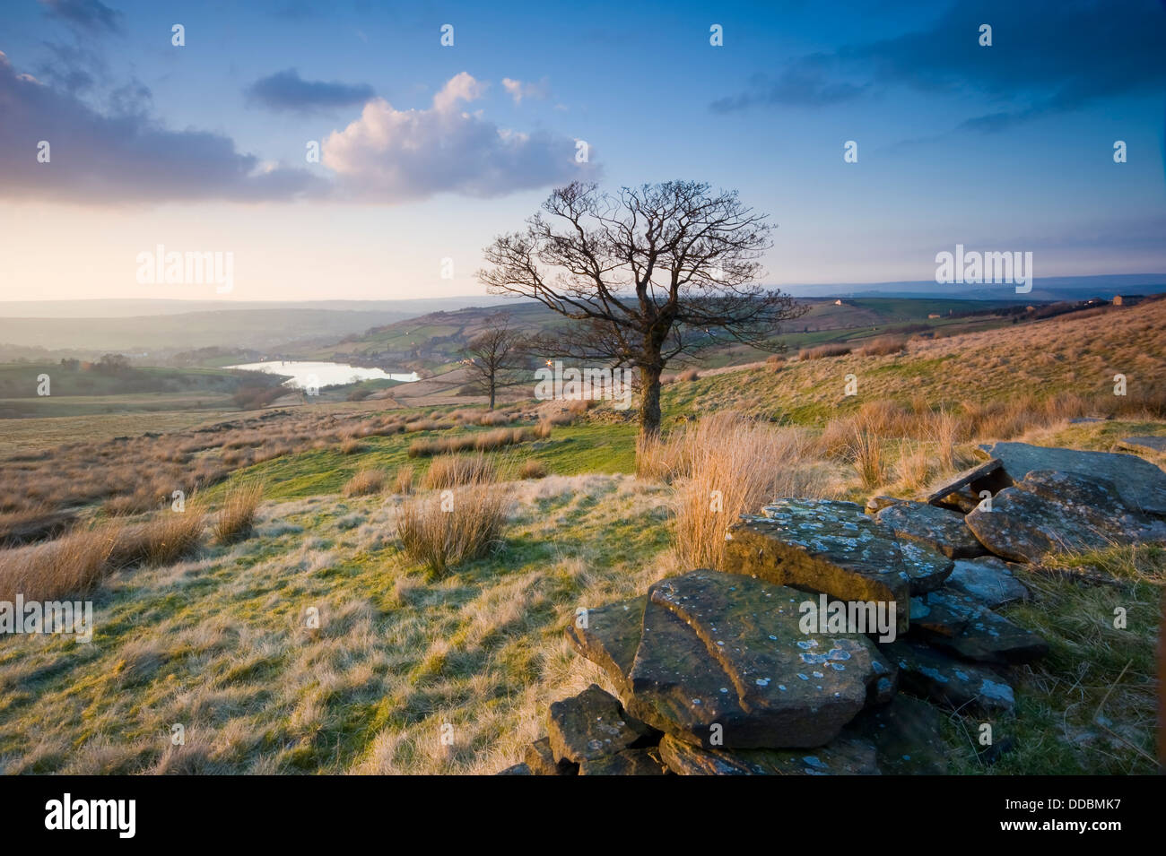 A landscape view over a typical Yorkshire Dales scene with dry stone wall in the foreground. Stock Photo
