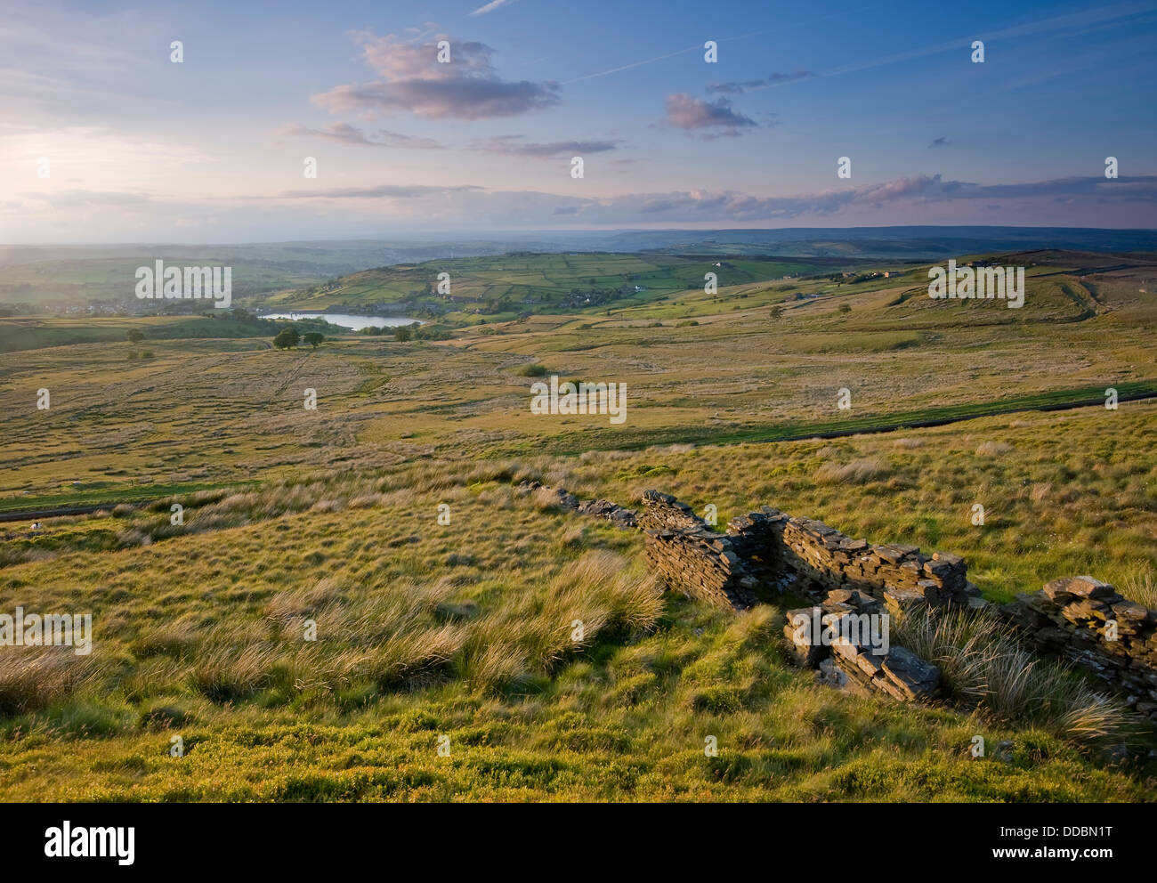 A dry stone wall on moorland above the Yorkshire dales on a bright summers evening. Stock Photo