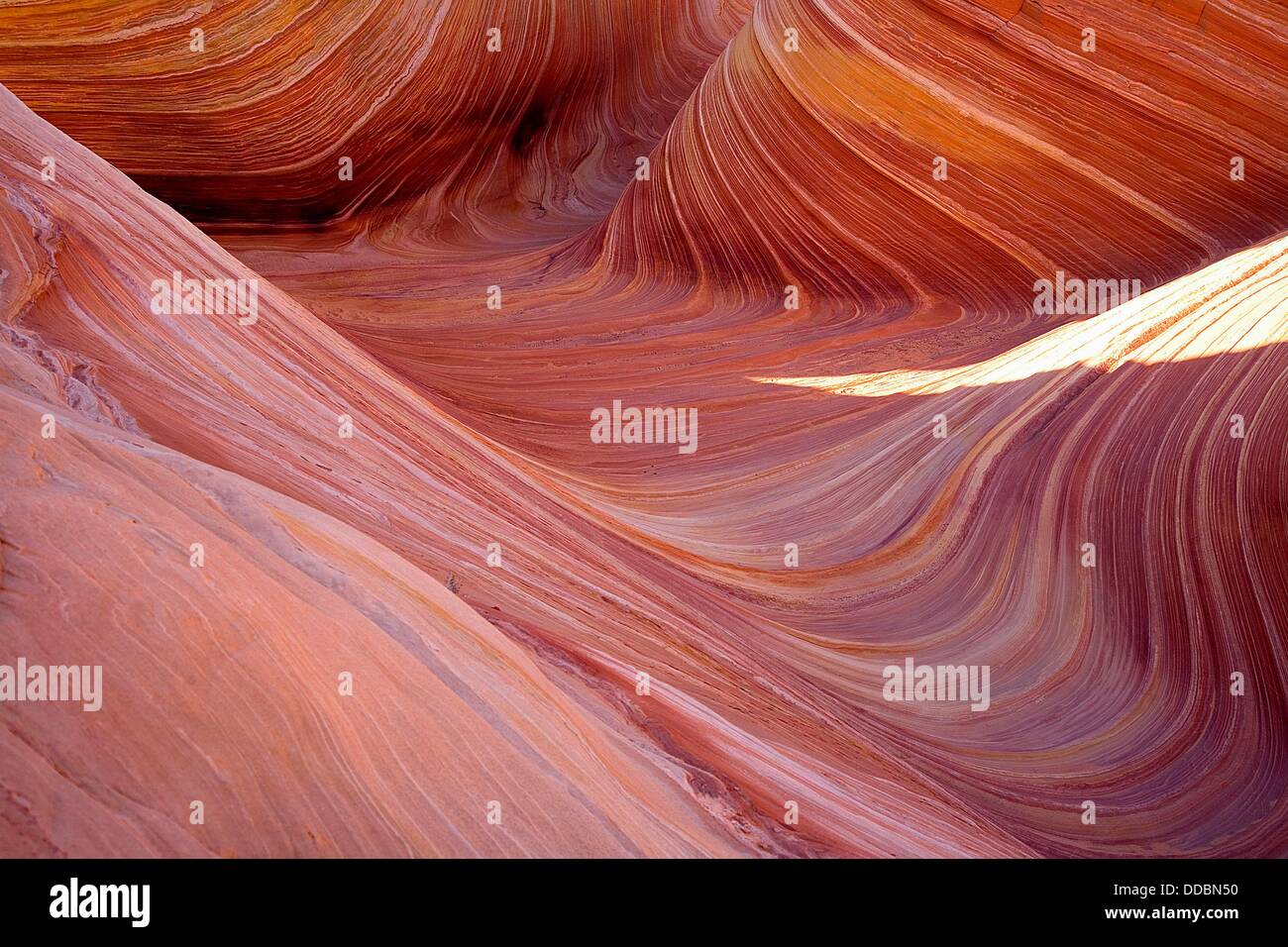 Swirls and curls produce ´The Wave´ at Coyote Buttes on the Arizona/Uyah border. Stock Photo