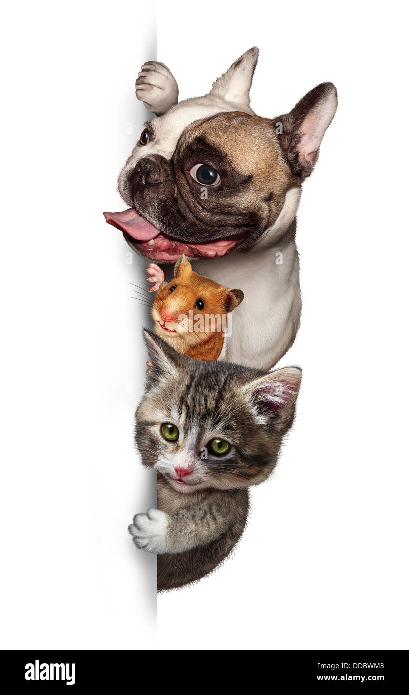 Pets sign vertical display for veterinary medicine and pet store or animal adoption advertising and marketing message with a cute dog hamster and a cat hanging on white placard with blank area copy space. Stock Photo