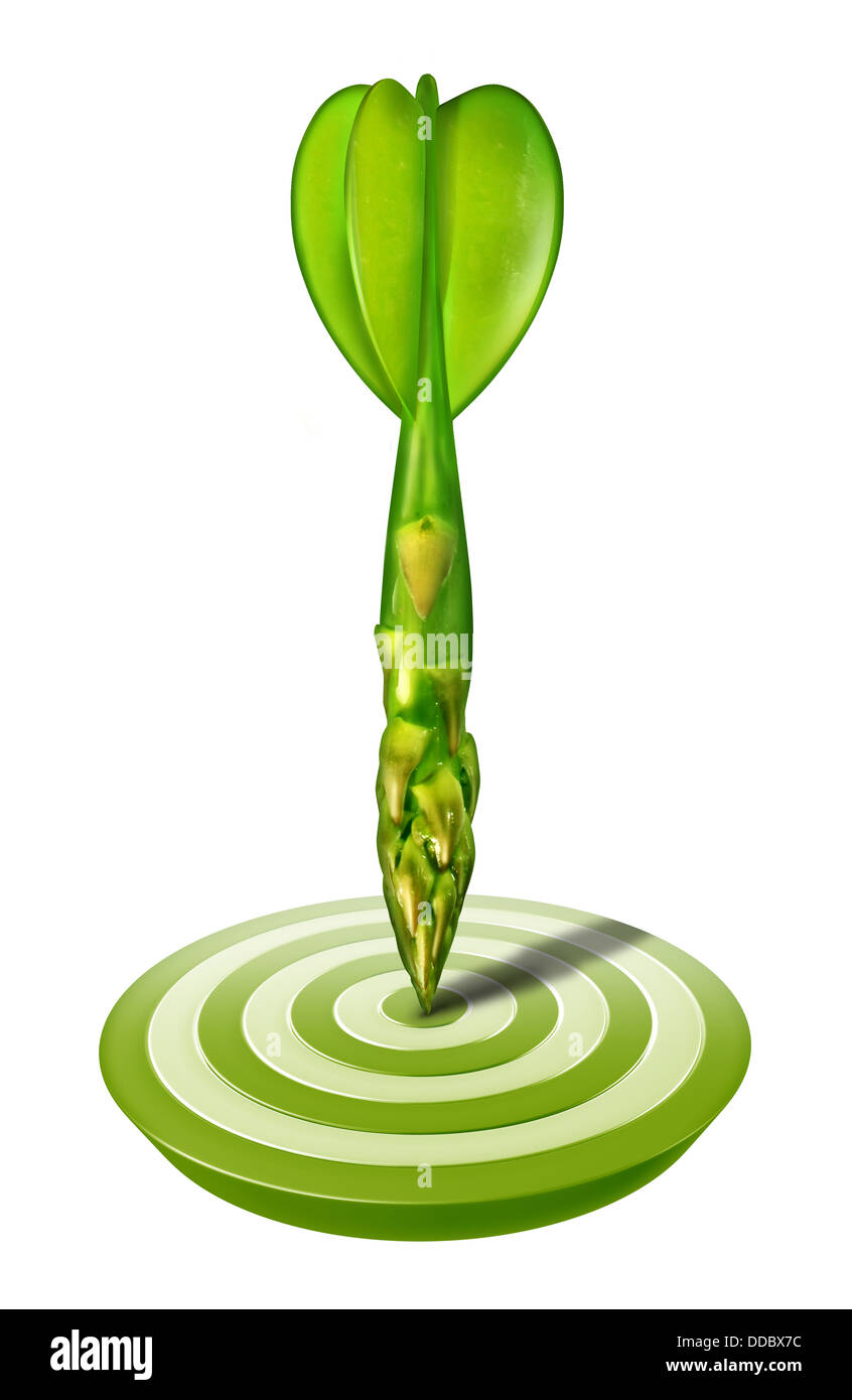 Diet target and healthy living symbol with an asparagus in the shape of a dart as a good lifestyle icon for eating nutricious natural food to lose weight and fat for human health on a white background. Stock Photo