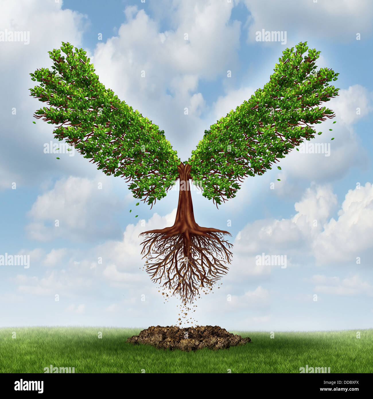 Moving up and the power of success with a growing tree in the shape of wingsthat has emerged out of the ground and has taken flight upward to opportunity as a business concept of the evolution of successful leadership and strategic planning. Stock Photo