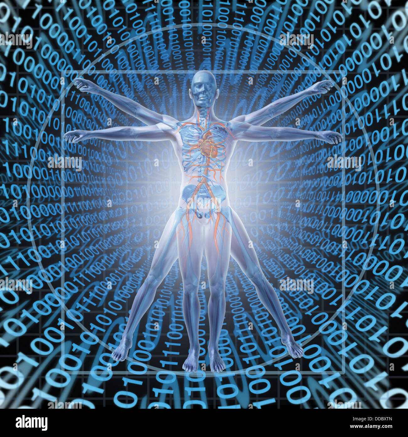 Medical Records Technology with a vitruvian man over a background of digital binary code as a health care symbol of electronic data storage at a central server network available in the cloud for a hospital or clinic patient convenience. Stock Photo