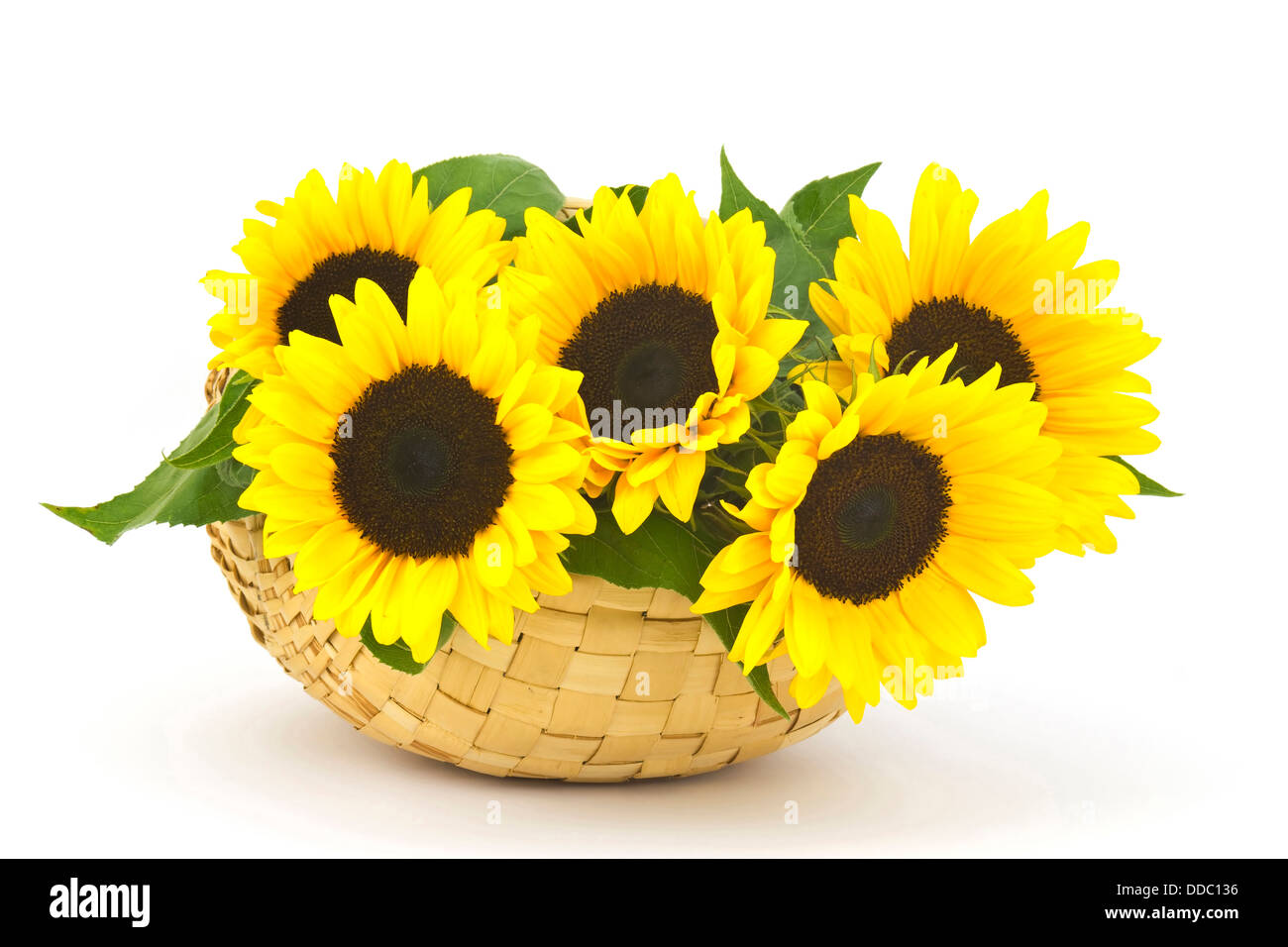 Beautiful sunflower bouquet in a basket Stock Photo - Alamy
