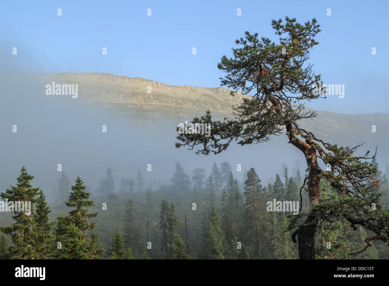 Telemark Nature A nature around Telemark province and a Maelefjell mountain Stock Photo ...