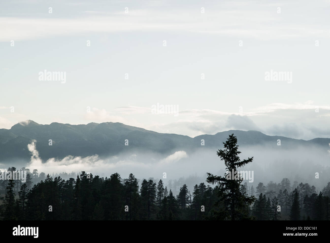 Telemark Nature A nature around Telemark province and a Maelefjell mountain Stock Photo ...