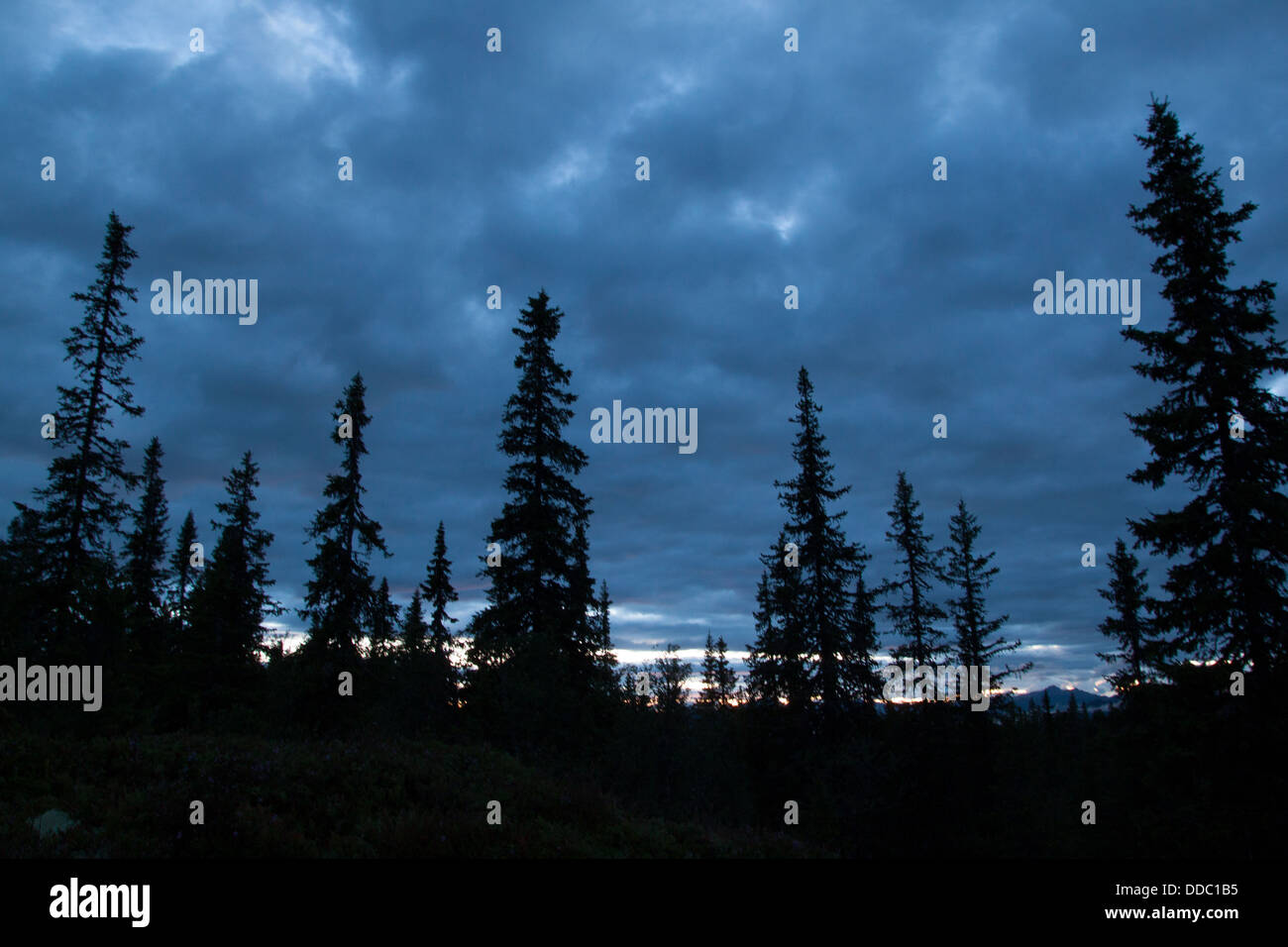 Telemark Nature Telemark province hi-res stock photography and images - Alamy