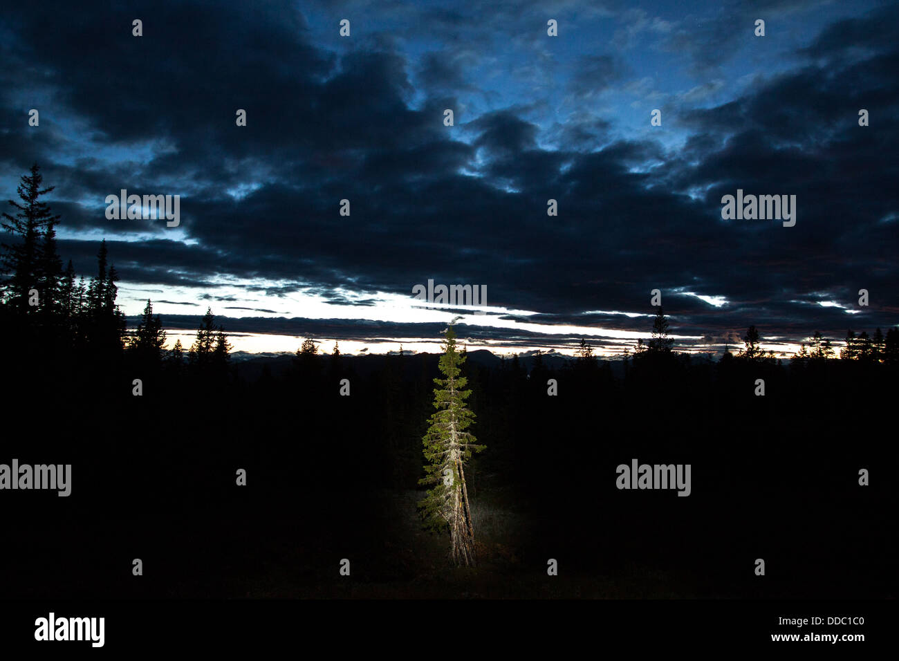 Telemark Nature A nature around Telemark province and a Maelefjell mountain Stock Photo ...