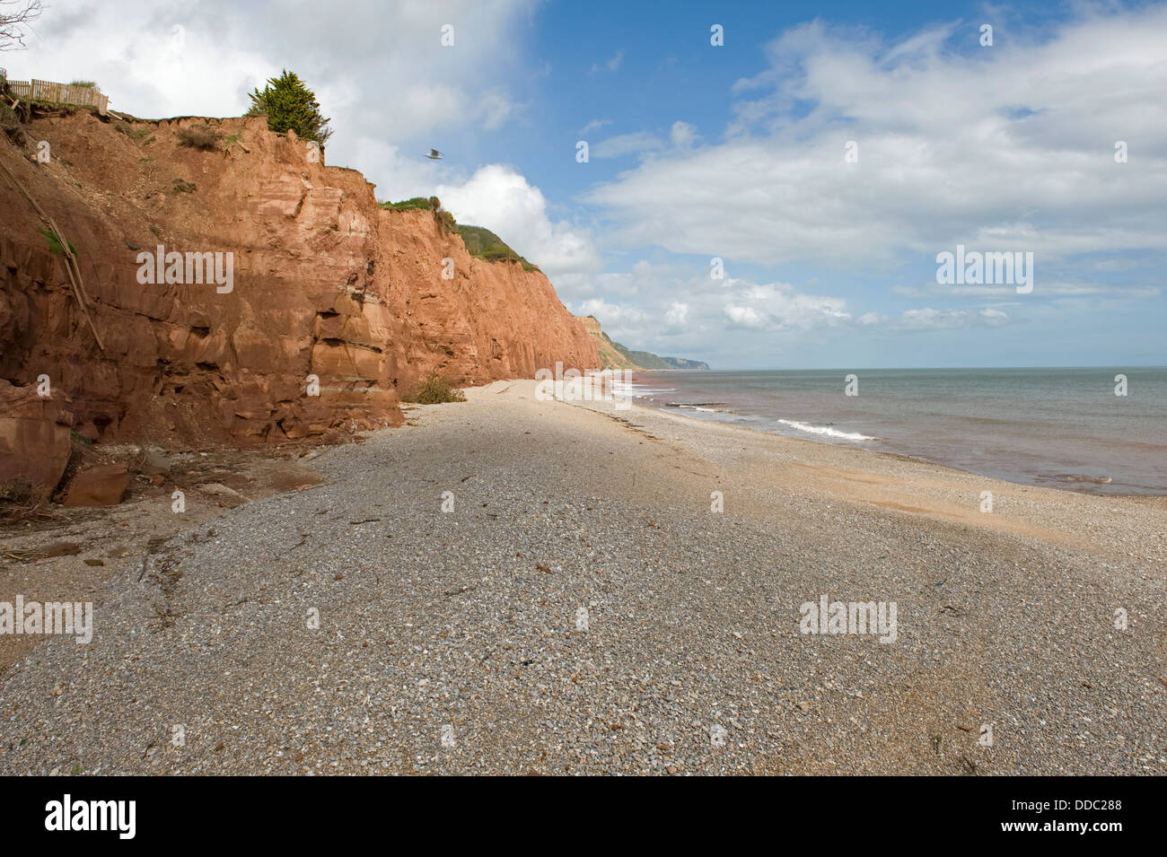 Crumbling red sandstone East Cliffs at Sidmouth which are being severely eroded by the sea Stock Photo