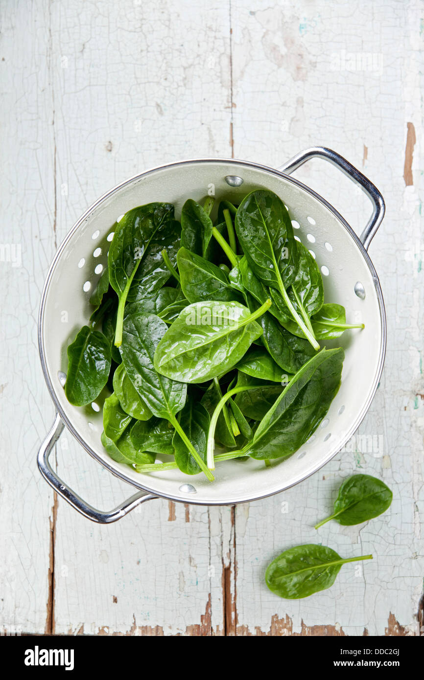 Young spinach in colander Stock Photo