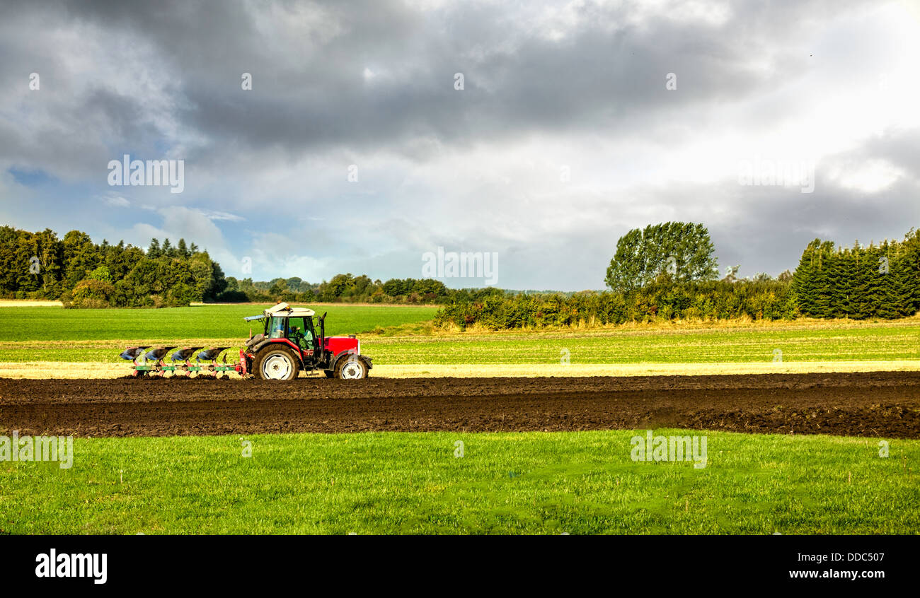 Small scale farming with tractor and plow in field Stock Photo Alamy