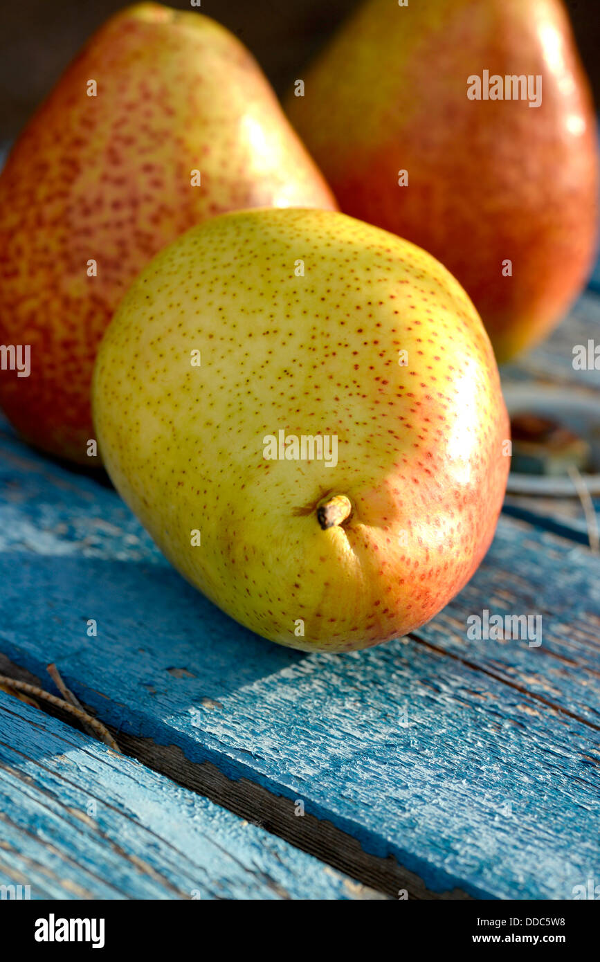Opinion asian pear carbs useful Asian pear carbs really