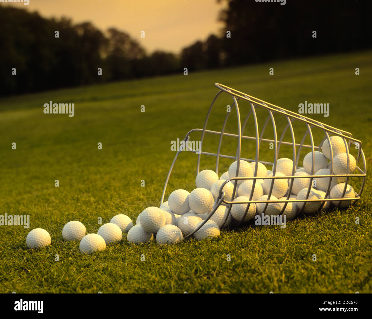 Spilled Golf Balls Stock Photo