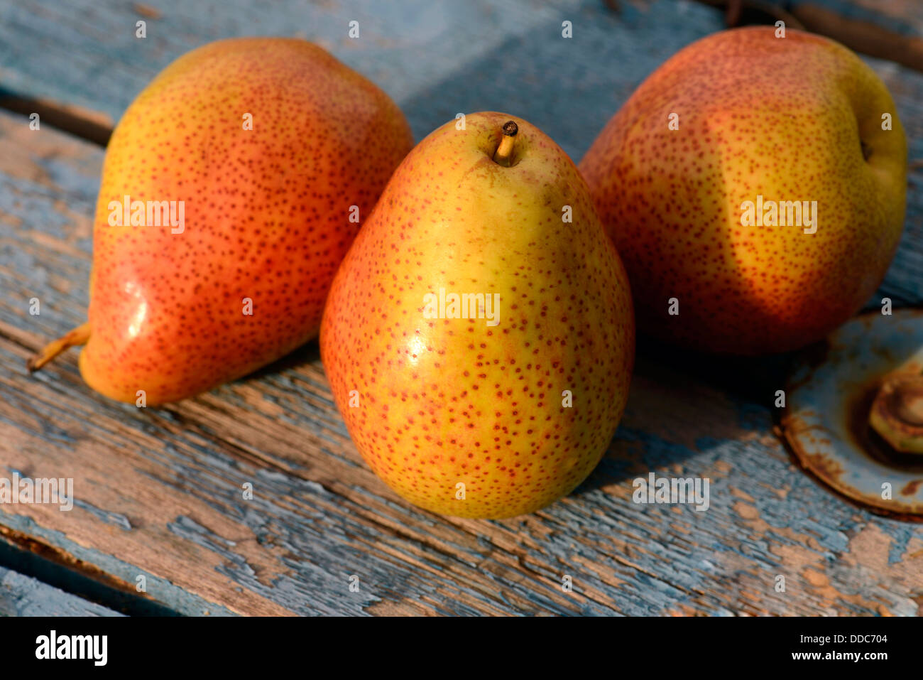 Are not asian pear carbs Asian pear carbs final