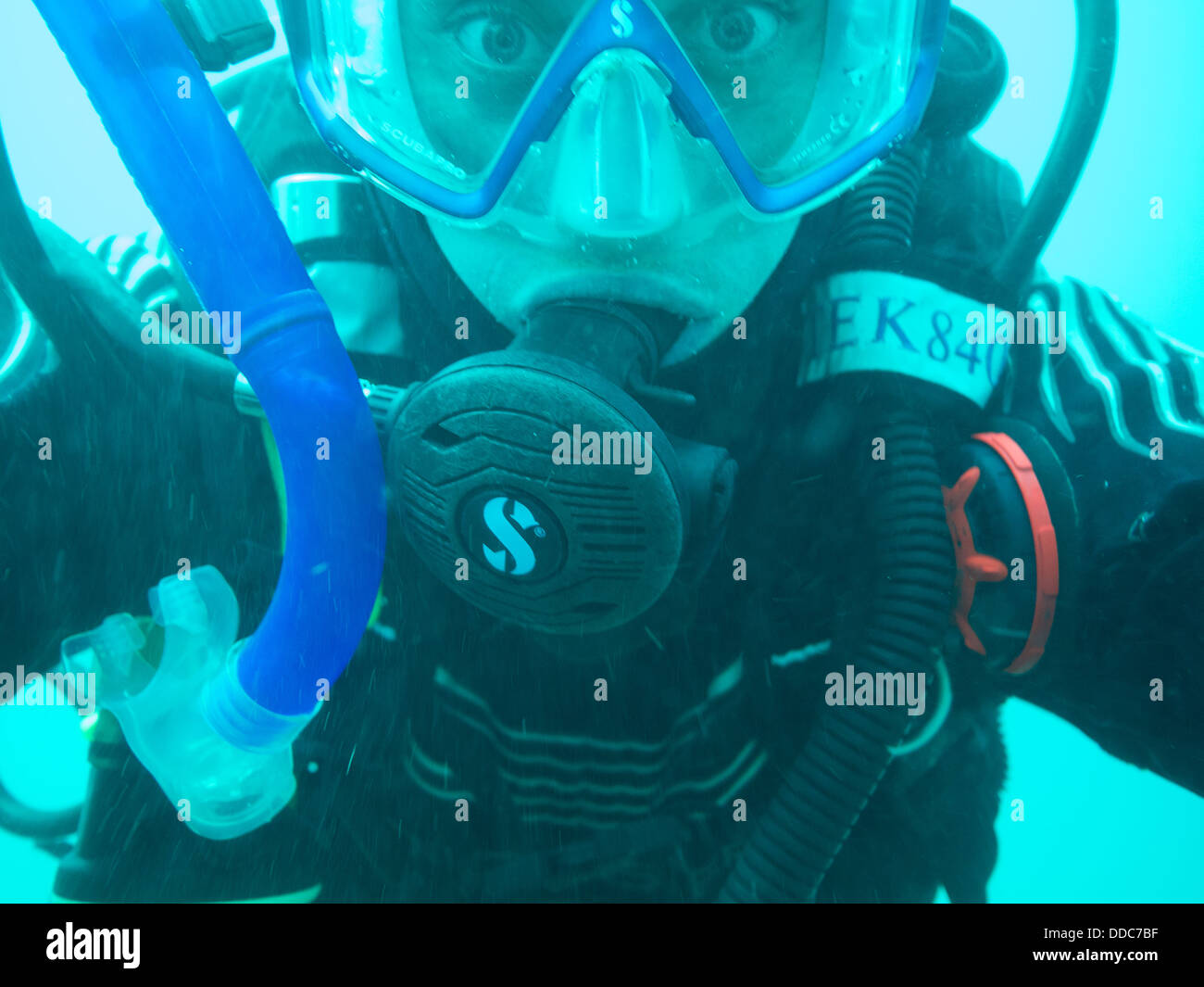 Underwater sea ireland hires stock photography and images Alamy