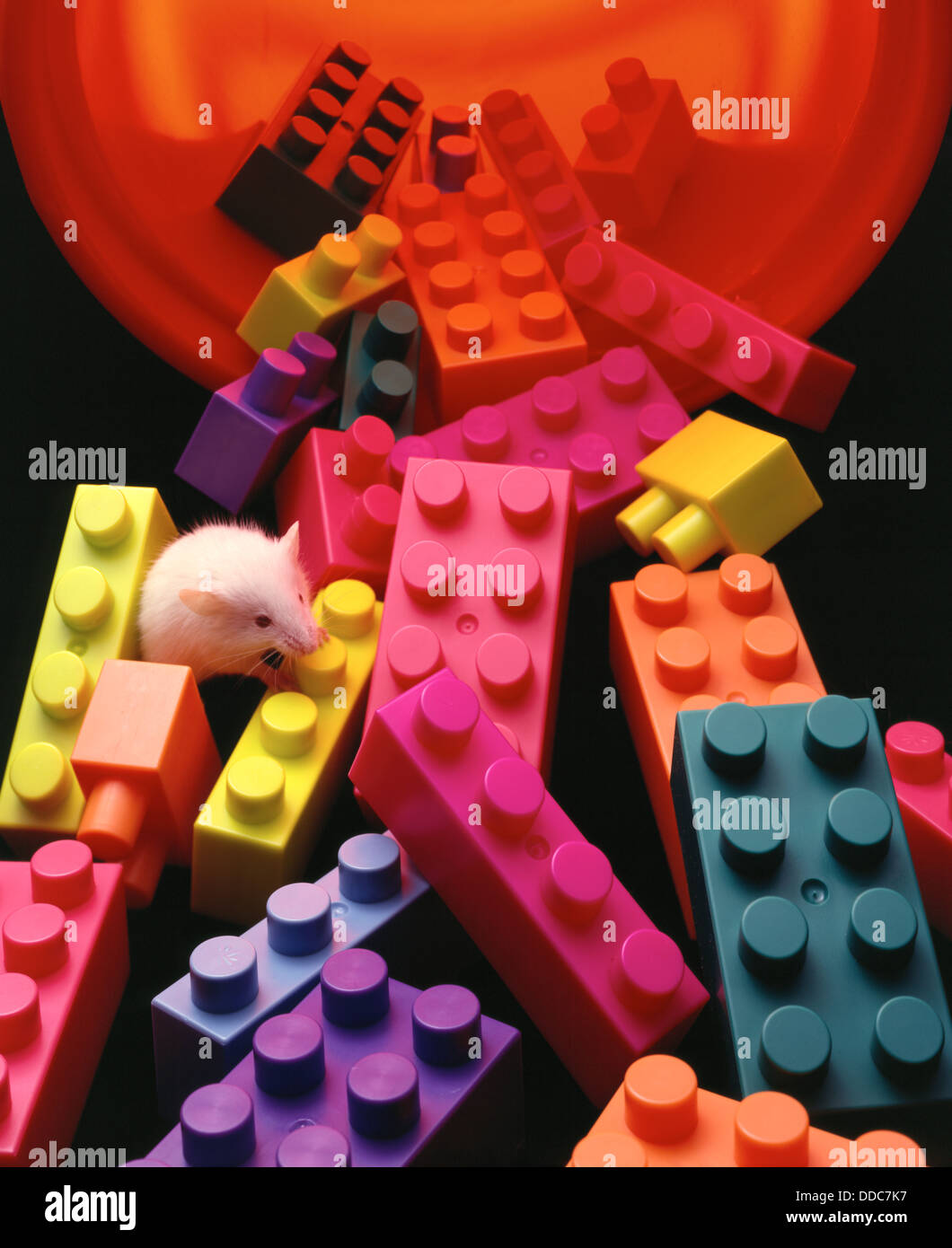Mouse with Building Blocks Stock Photo