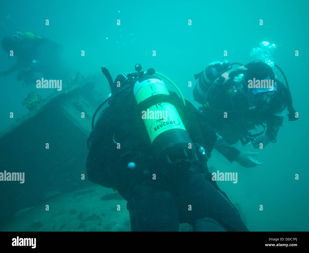 Scuba diving in Ireland Stock Photo Alamy