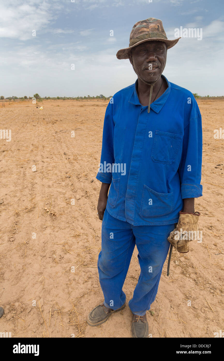 Millet Cultivation. Senior Family Member of the Family Owning the Land at this location.  Member of Serer ethnic group. Senegal. Stock Photo