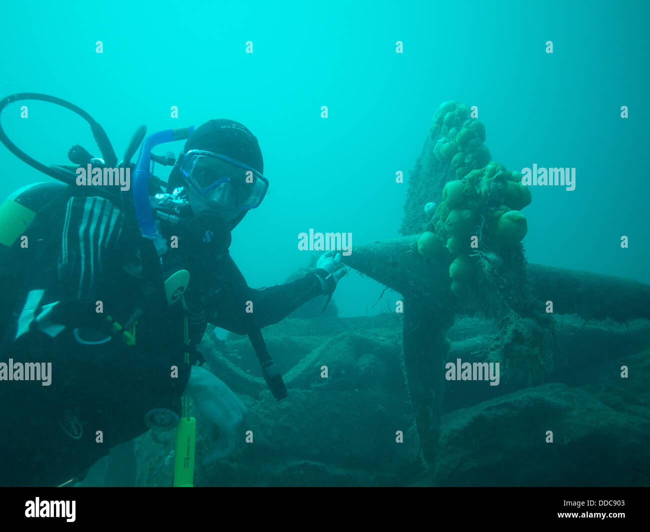 Scuba diving in Ireland Stock Photo Alamy