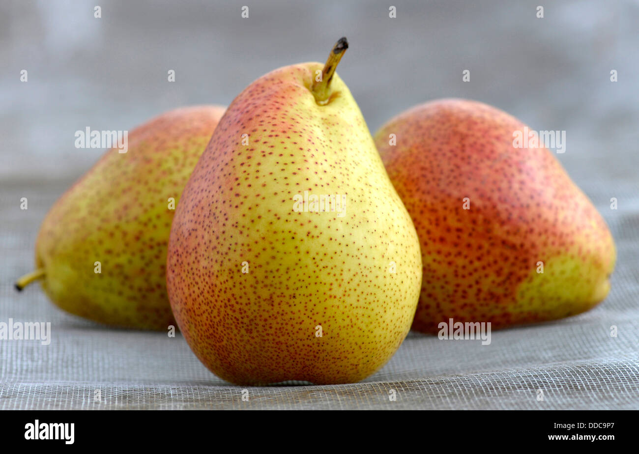 Forelle variety of pear fruit. Stock Photo