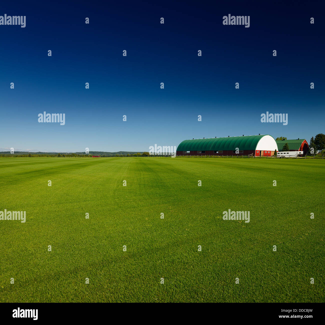Sod farm field of grass under dark blue sky with large barns in Ontario Canada Stock Photo