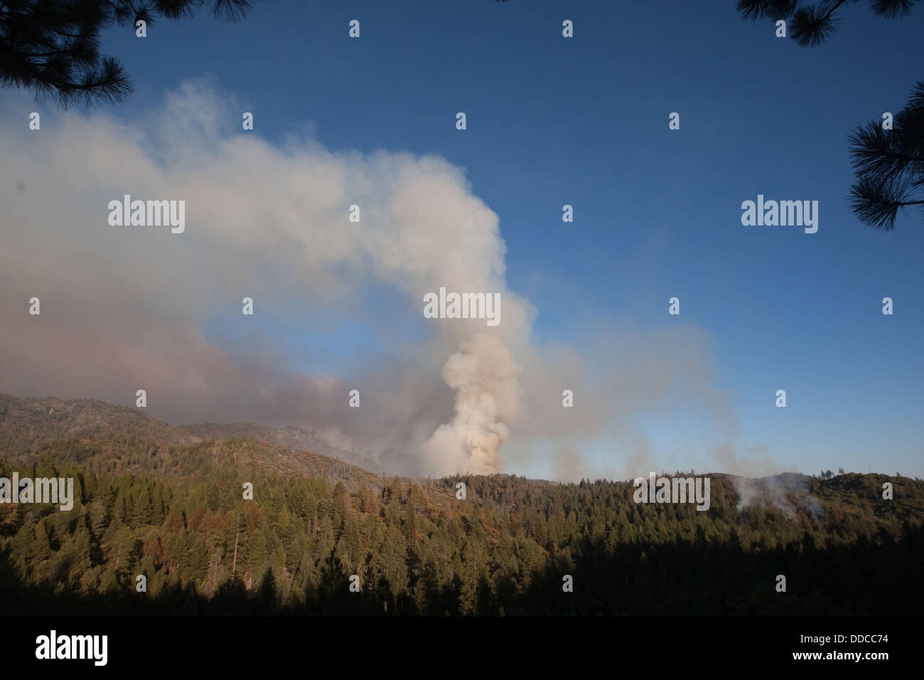 Smoke from forest fire slowly hi-res stock photography and images - Alamy