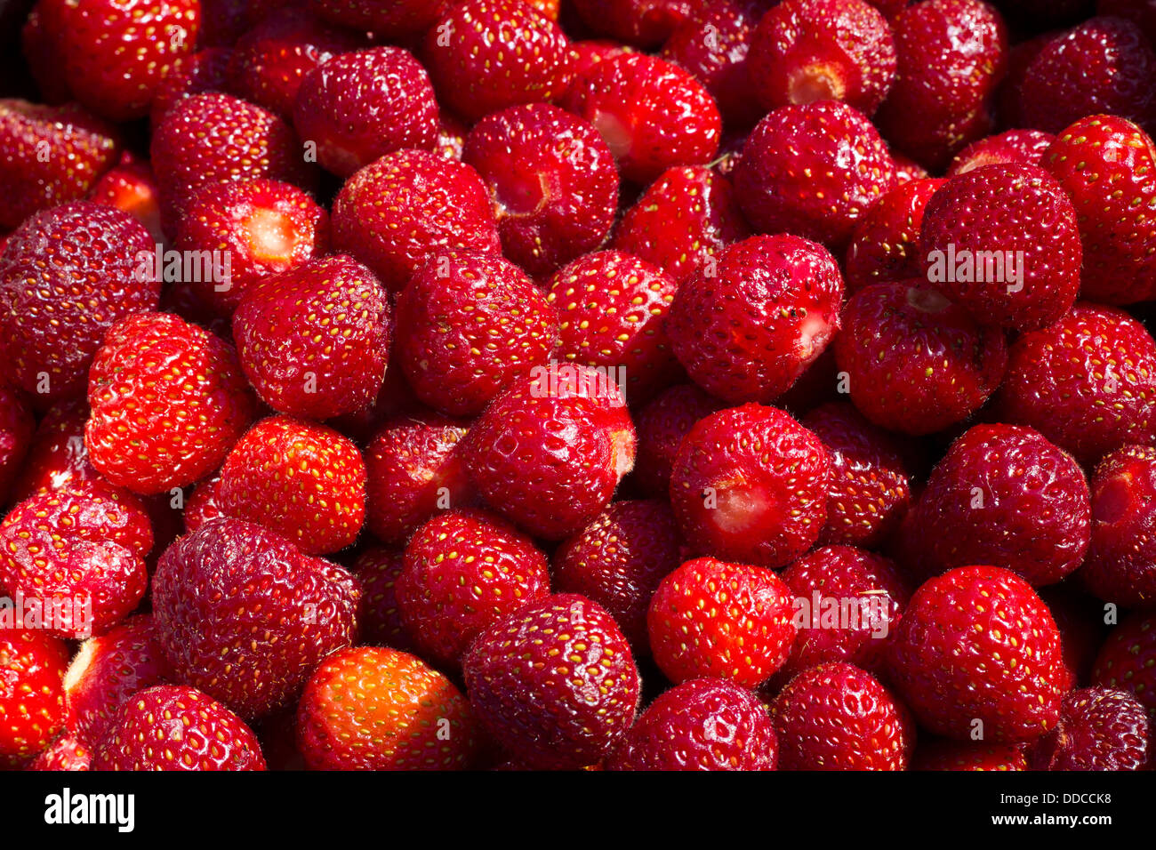 Large pile of fresh cleaned strawberries Stock Photo - Alamy