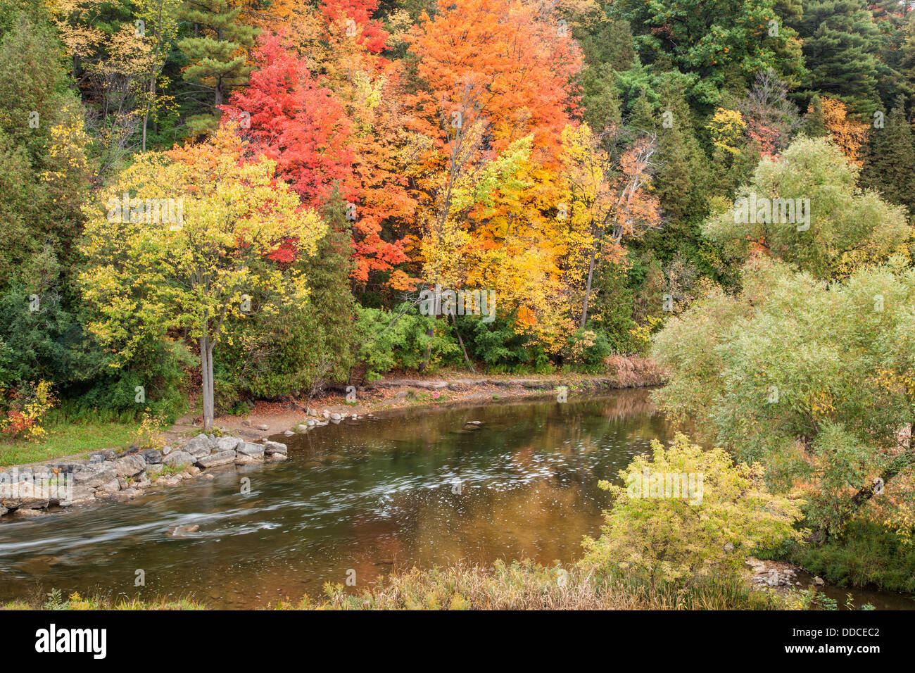 Credit River in fall, Georgetown, Ontario, Canada. Stock Photo