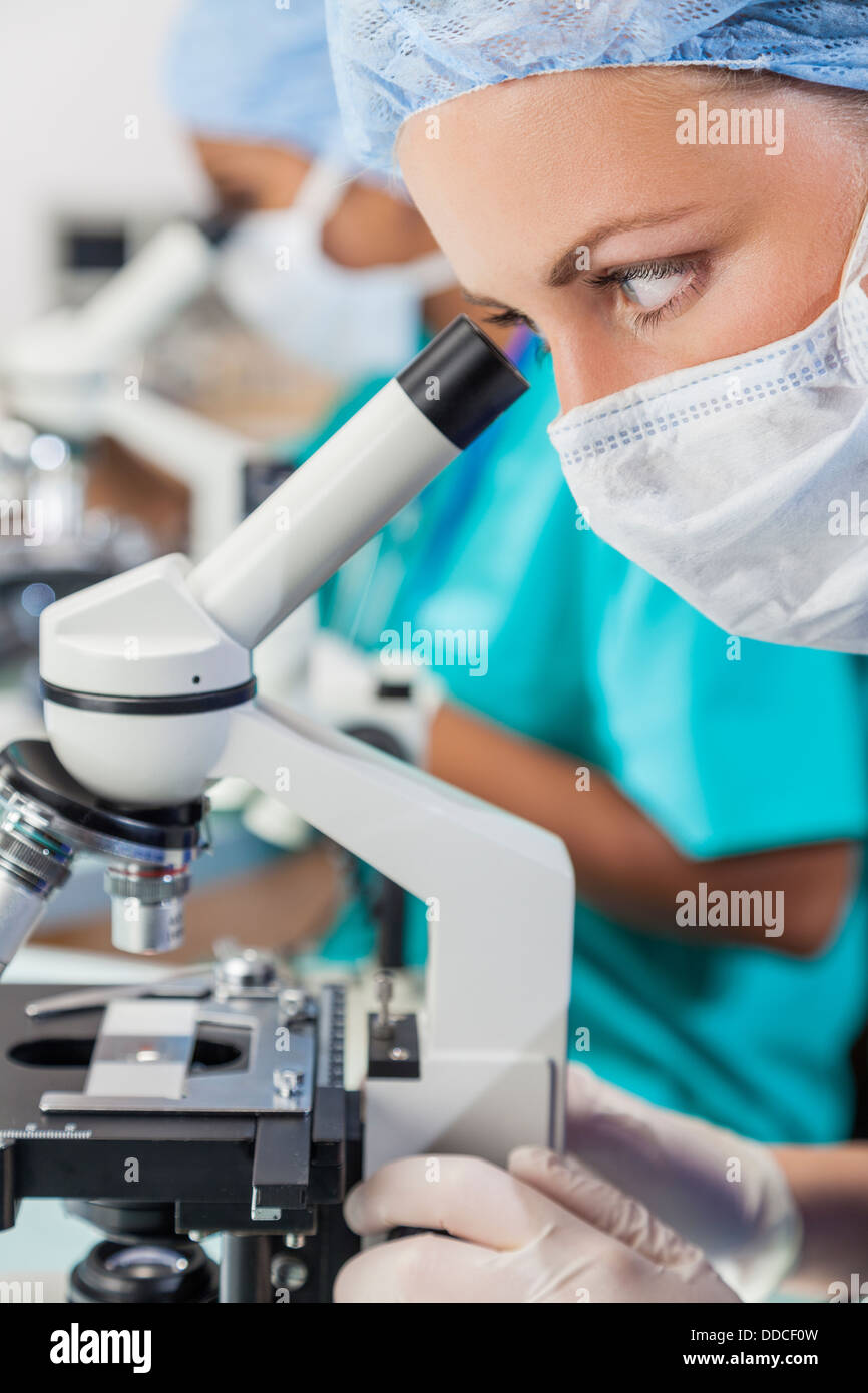 A blond female medical or scientific researcher or doctor using her microscope in a laboratory with her Asian colleague. Stock Photo