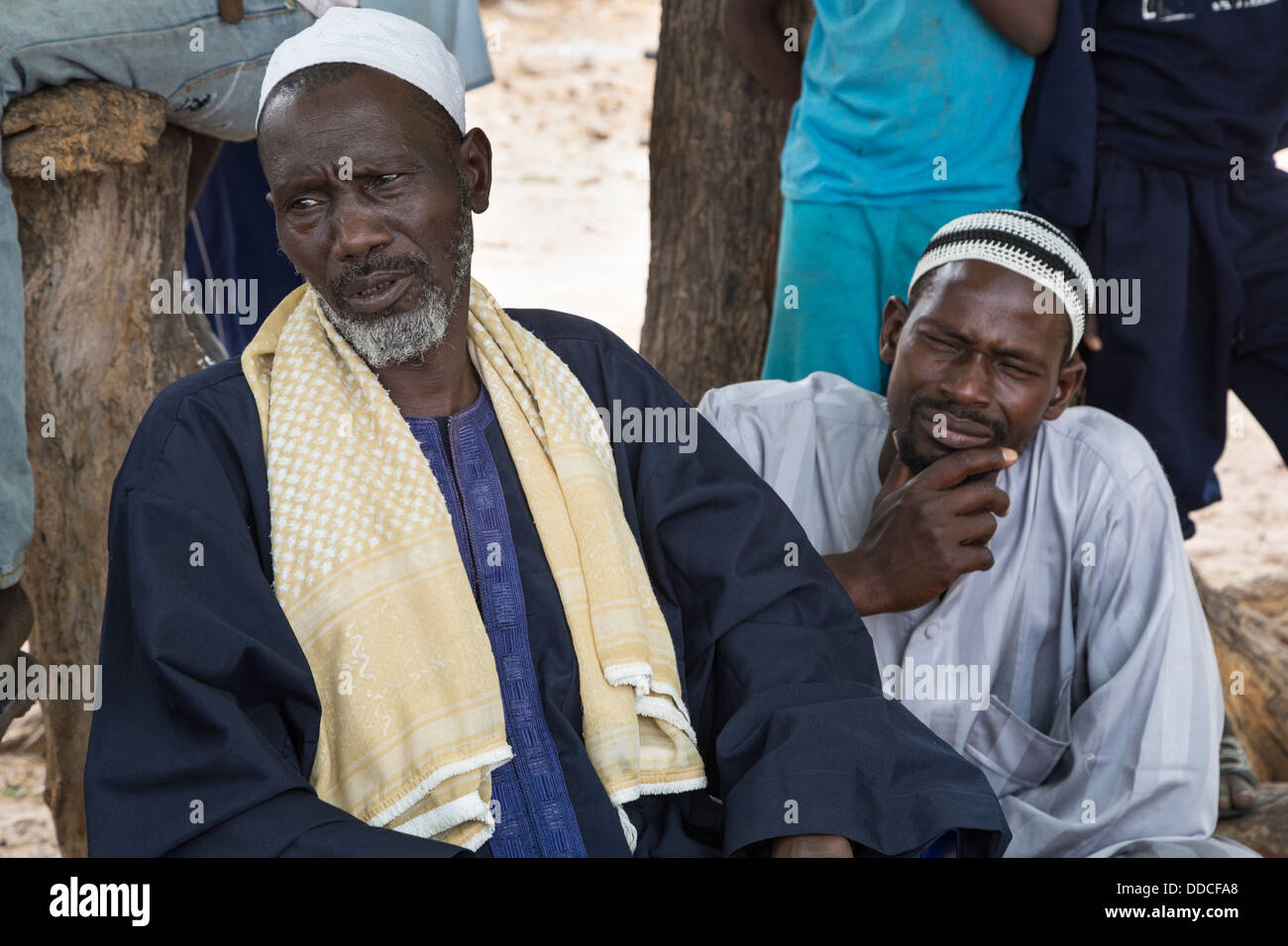 Two Men at a Microcredit Meeting at Djilor, a Wolof Village, near Kaolack, Senegal. Stock Photo