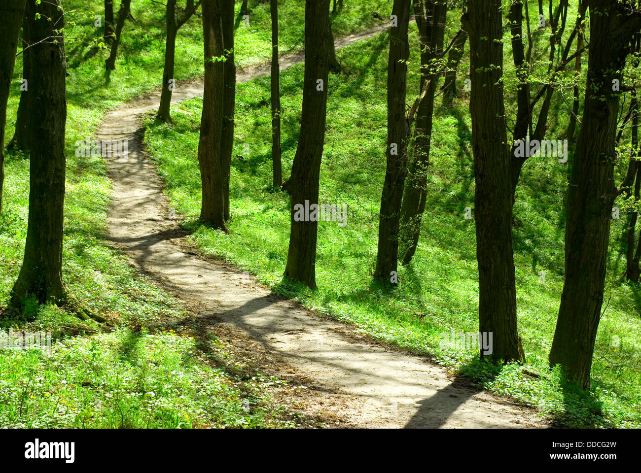 Divine nature hi-res stock photography and images - Alamy