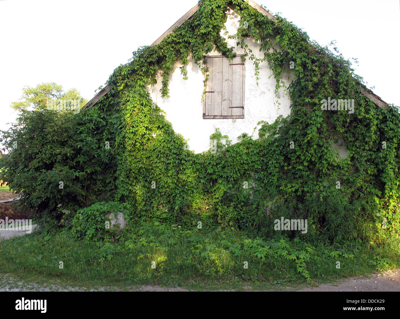 An cute, overgrown cottage Stock Photo