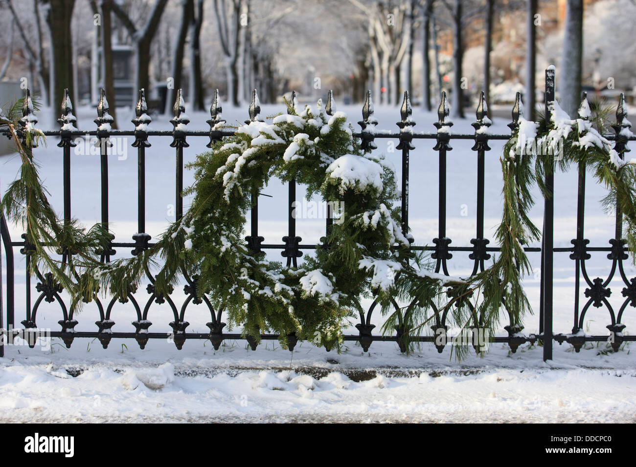 Wreath and garland on a railing after snow storm Commonwealth Avenue ...