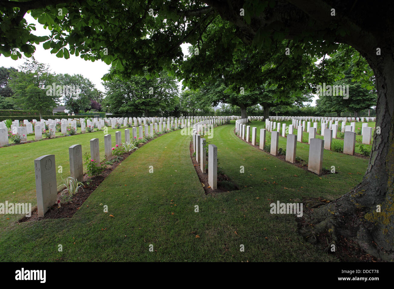 Ranks of Gravestones in a curve under trees in the British cemetery, Bayeux, Normandy France Stock Photo