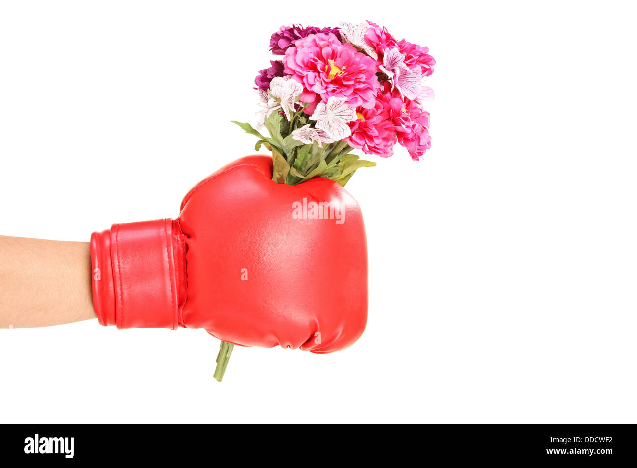 Male hand wearing boxing glove and holding a bunch of flowers Stock