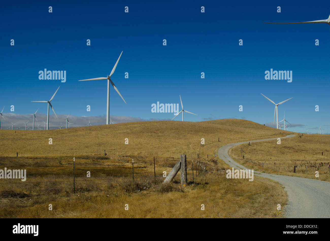 SMUD wind farm in the Montezuma Hills near Rio Vista California. Each