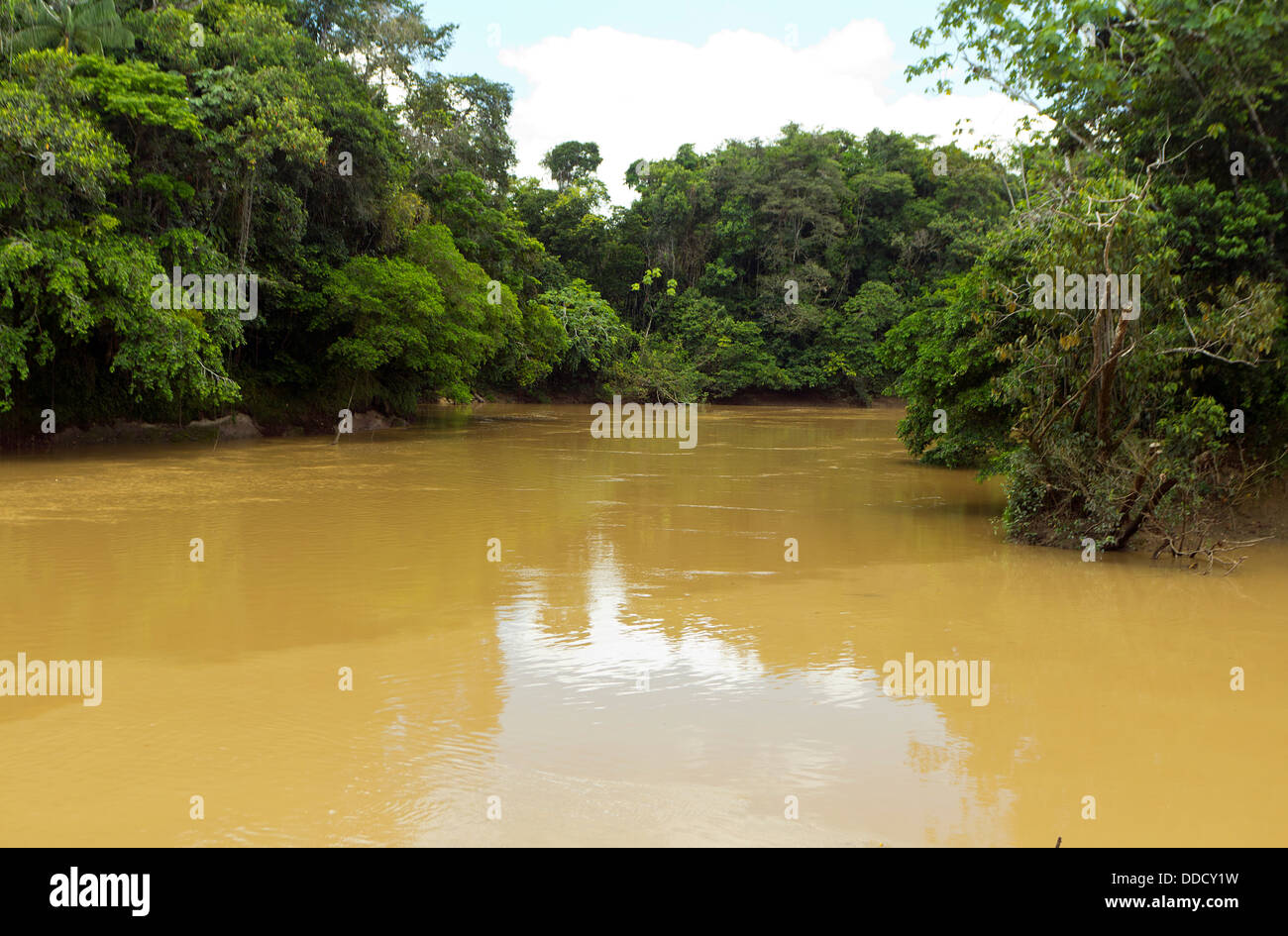 The Rio Cononaco, deep in the Ecuadorian Amazon Stock Photo
