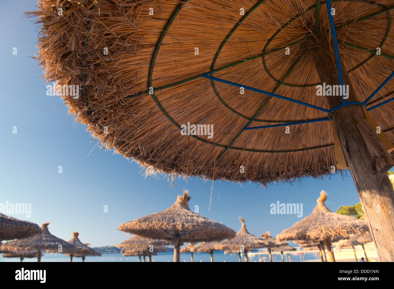Beautiful Sandy Beach with Straw Umbrellas at Sunrise in Paguera