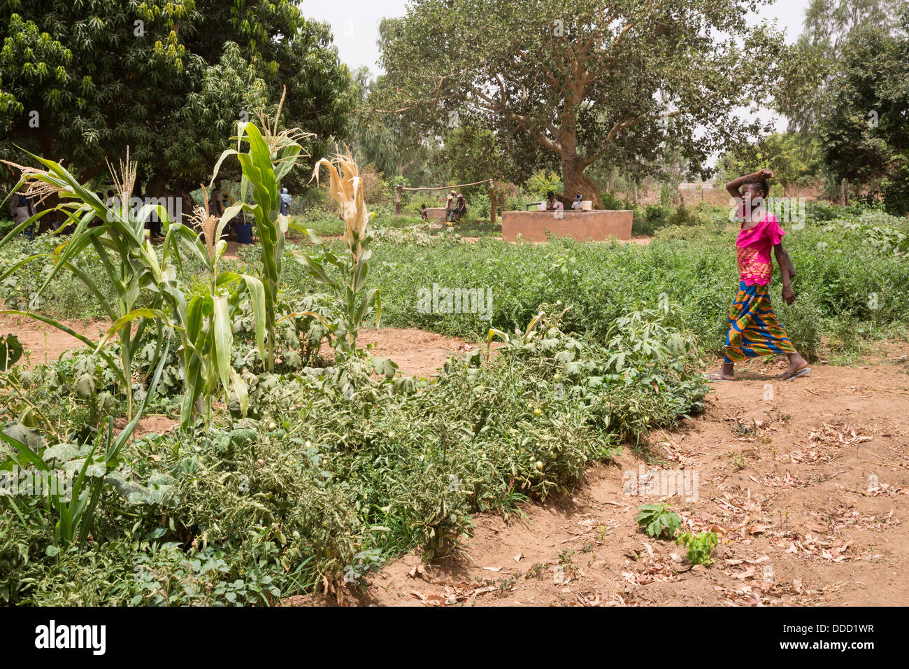 Dialacouna Gardening Project, near Kaolack, Senegal. An Africare Project. Stock Photo