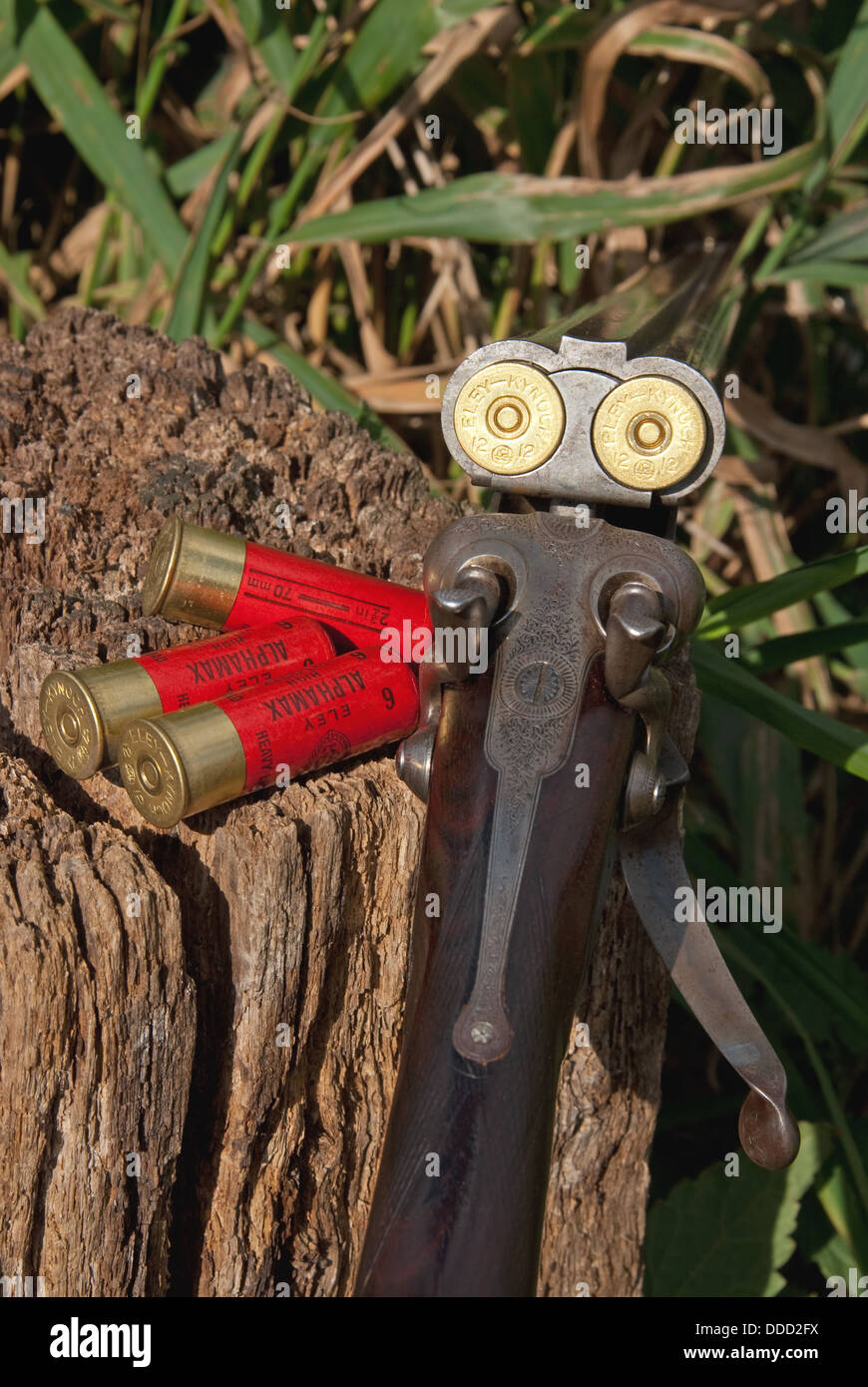 Vintage side by side 12 bore shotgun by D Bond of Diss, Norfolk Stock Photo