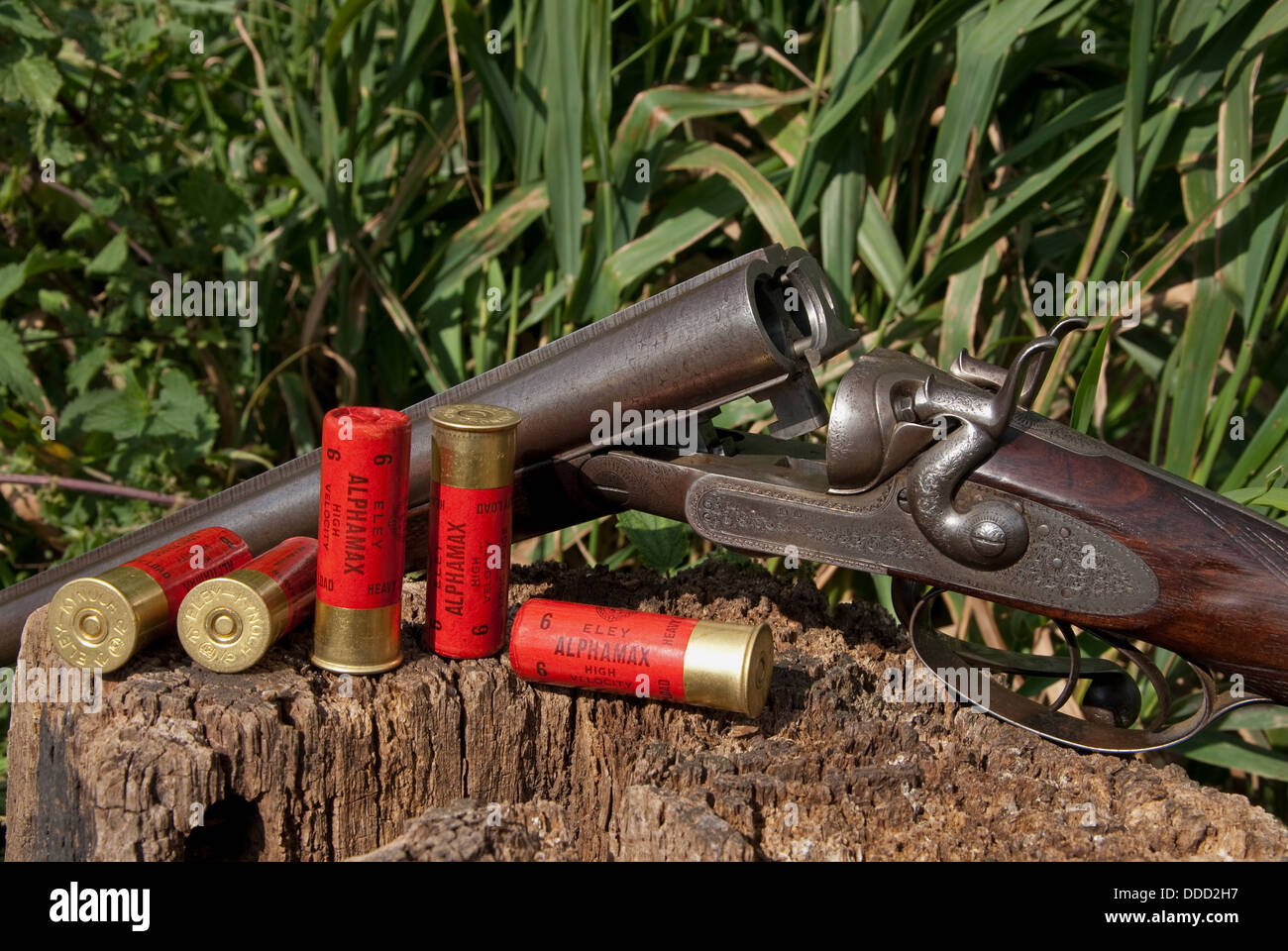 Collectible shotgun cartridge hi-res stock photography and images
