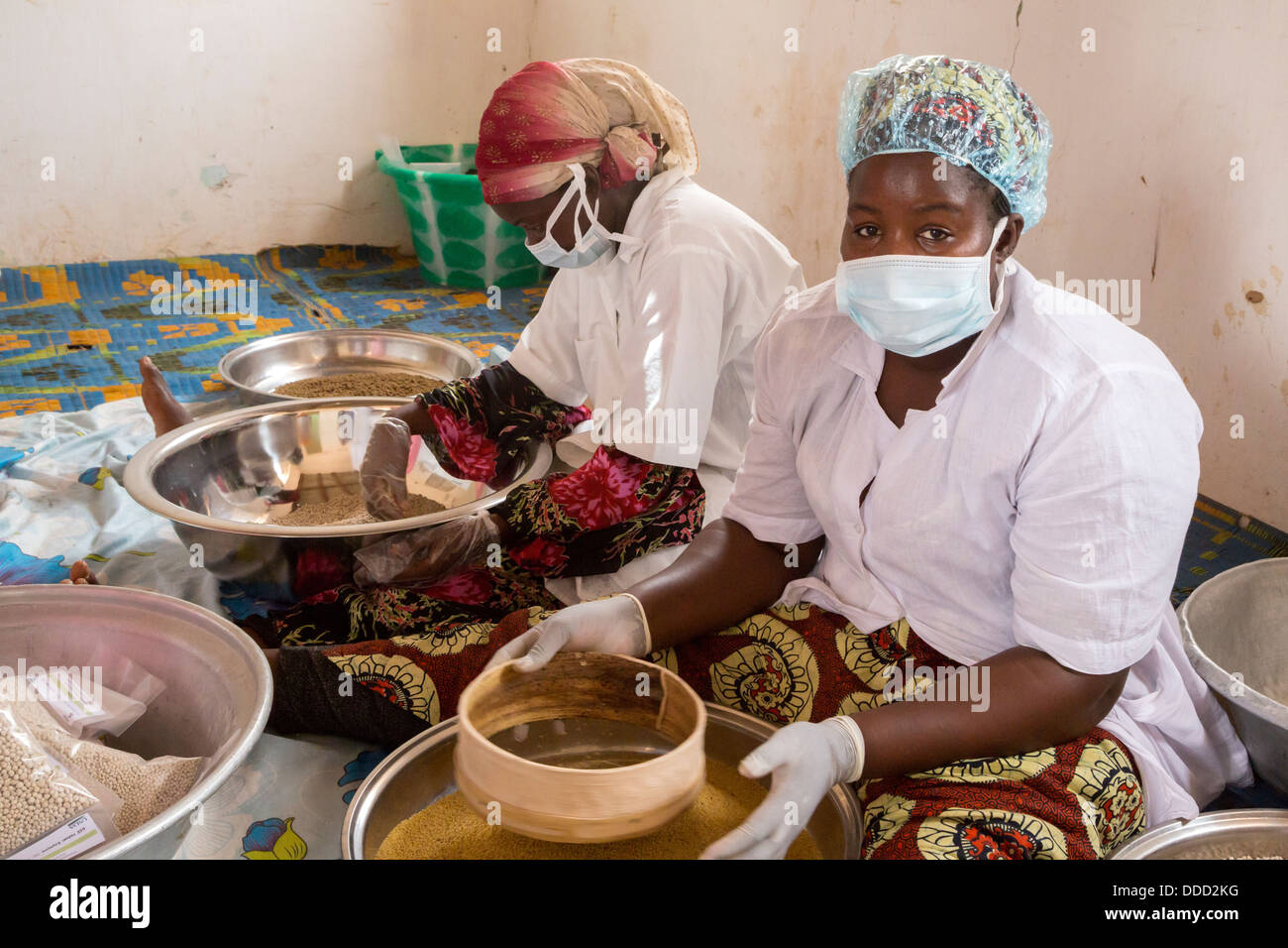 Staff Members of Millet Processing Facility Sifting Grain to Remove Debris, Kajmoor Village, Senegal. An Africare Project. Stock Photo